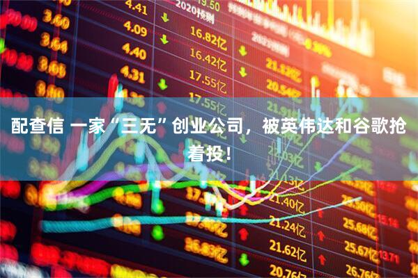 配查信 一家“三无”创业公司，被英伟达和谷歌抢着投！