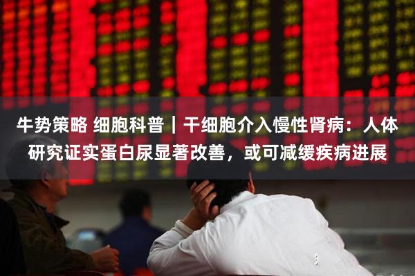 牛势策略 细胞科普|干细胞介入慢性肾病:人体研究证实蛋白尿显著改善,或可减缓疾病进展